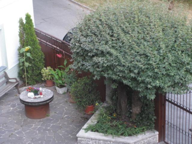 Ferienwohnung Lienz Egger エクステリア 写真